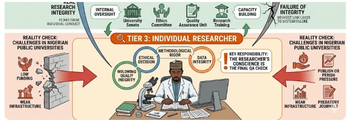 Graphical Abstract