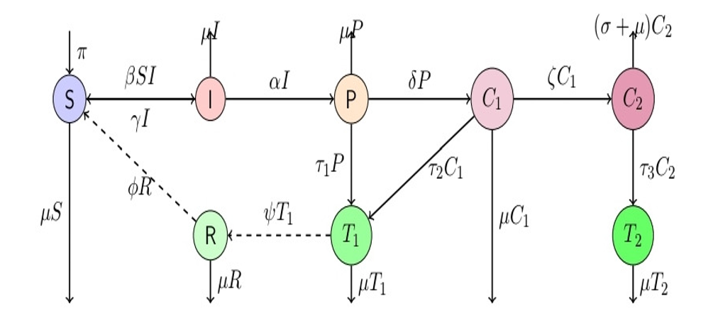 Schematic diagram of the cervical cancer transmission model
